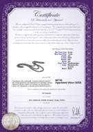 Certyfikat produktu: B-AA-67-N-TRP
