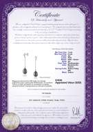 Certyfikat produktu: FW-B-AA-78-E-Reese