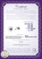 Certyfikat produktu: FW-B-AAAA-67-E-Winna