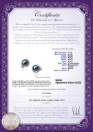 Certyfikat produktu: FW-B-AAAA-78-E-Angelina