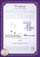 Certyfikat produktu: FW-L-AA-89-E-Amy