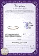 Certyfikat produktu: FW-P-BAR-1011-N