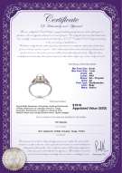 Certyfikat produktu: FW-W-AA-67-R-Jessica