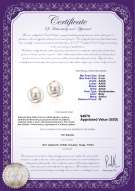 Certyfikat produktu: FW-W-AAAA-89-E-Zina