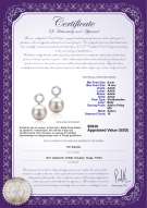 Certyfikat produktu: FW-W-AAAA-910-E-Shellry
