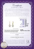 Certyfikat produktu: FW-W-AAAA-910-E-Sparkle