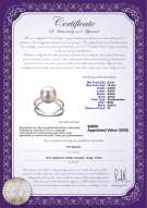 Certyfikat produktu: FW-W-AAAA-910-R-Zana