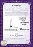 Certyfikat produktu: JAK-B-AA-89-P-Pennie