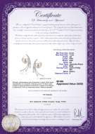 Certyfikat produktu: JAK-W-AA-67-E-Rosie