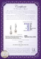 Certyfikat produktu: JAK-W-AA-89-E-Jacy