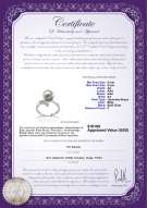 Certyfikat produktu: JAK-W-AA-89-R-Grace