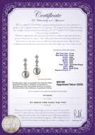 Certyfikat produktu: JAK-W-AAA-89-E-Rozene