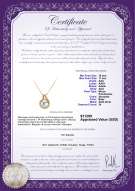Certyfikat produktu: SS-W-AAA-1011-P-Angelique