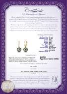 Certyfikat produktu: TAH-B-AAA-1011-E-Sparkle