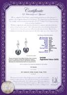 Certyfikat produktu: TAH-B-AAA-910-E-Cheryl