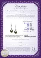 Certyfikat produktu: TAH-B-AAA-910-E-Merry