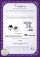 Certyfikat produktu: TAH-B-AAA-910-E-RisingSun