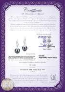 Certyfikat produktu: TAH-B-AAA-910-E-Wing