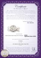 Certyfikat produktu: W-14K-Clasp-DBL-Sussex