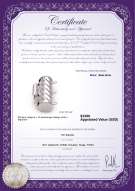 Certyfikat produktu: W-14K-TRP-Clasp